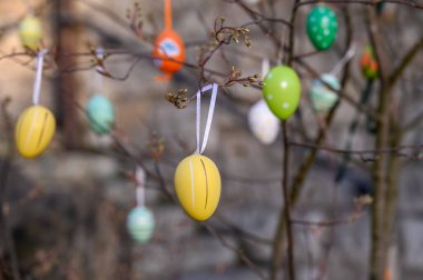 Ağaçta asılı renkli Paskalya yumurtaları