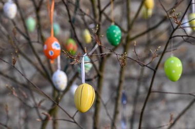 Ağaçta asılı renkli Paskalya yumurtaları