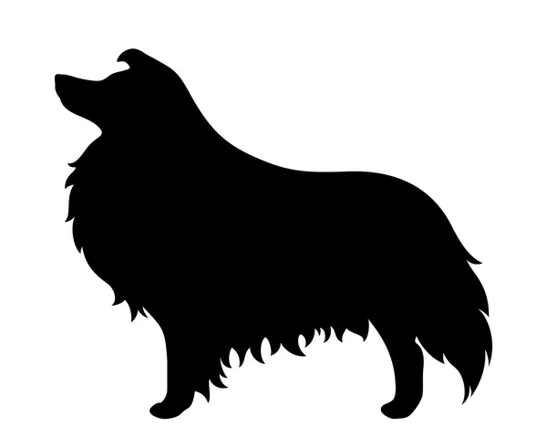 Collie hund. Vector svart siluett. — Stock vektor