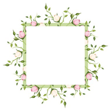 Pembe ve beyaz gül tomurcukları ile arka plan. Vektör çizim.