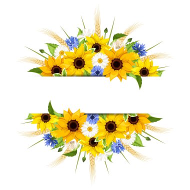 Background with sunflowers, daisies, cornflowers and ears of wheat. Vector illustration. clipart