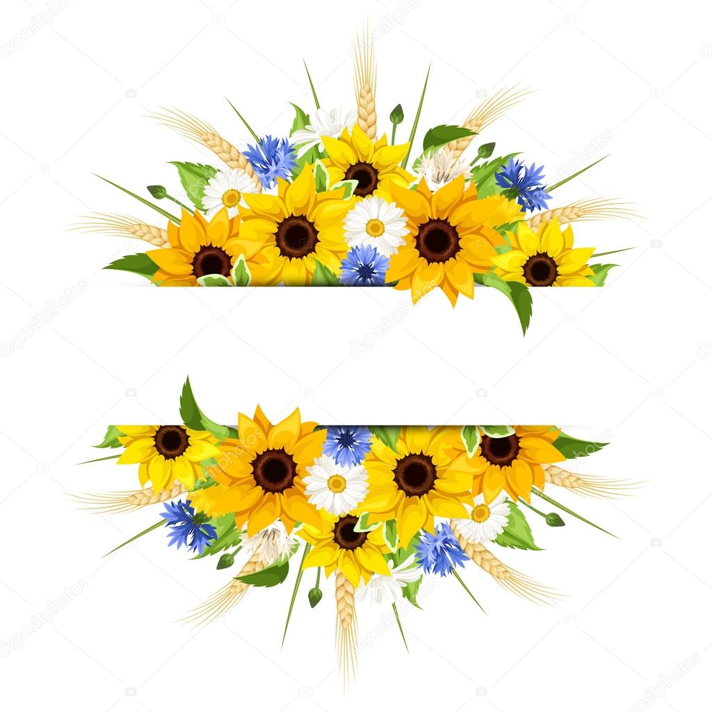 Background with sunflowers, daisies, cornflowers and ears of wheat. Vector illustration.