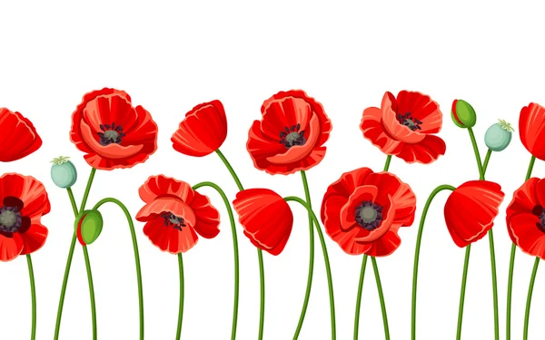 Horizontal seamless background with red poppies. Vector illustration. — Stock Vector