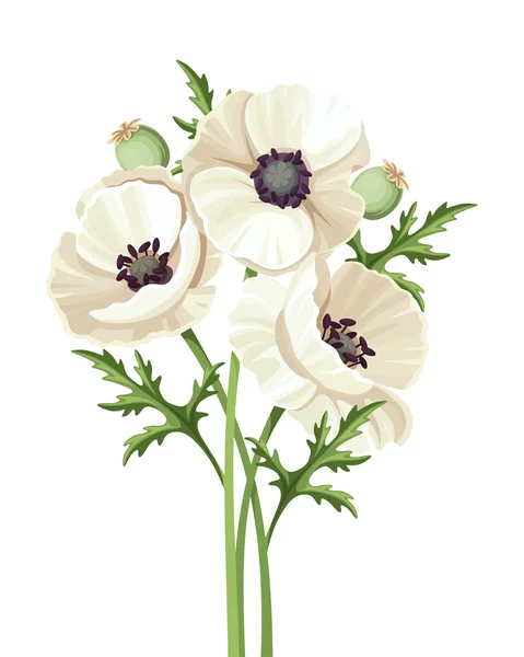 Strauß weißer Mohnblumen. Vektorillustration. — Stockvektor