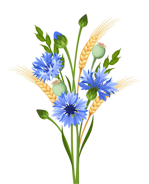 Bouquet of cornflowers and wheat. Vector illustration.