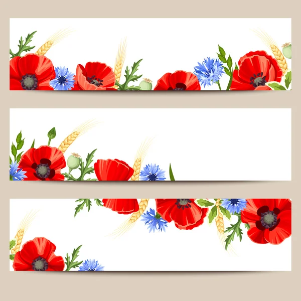 Banderas web con amapolas y acianos. Vector eps-10 . — Vector de stock