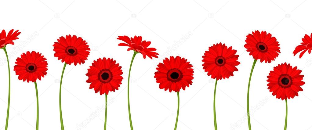 Horizontal seamless background with red gerbera flowers. Vector illustration.