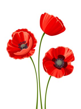 Three red poppies. Vector illustration. clipart