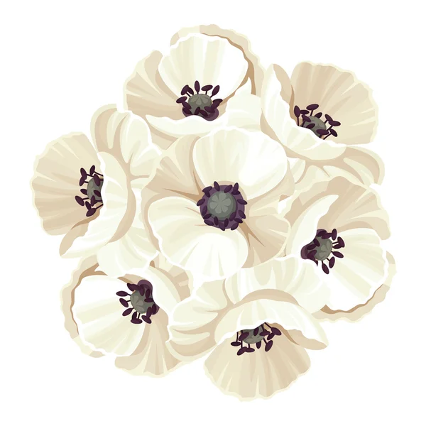 Bouquet of white poppy flowers. Vector illustration. — Stock Vector