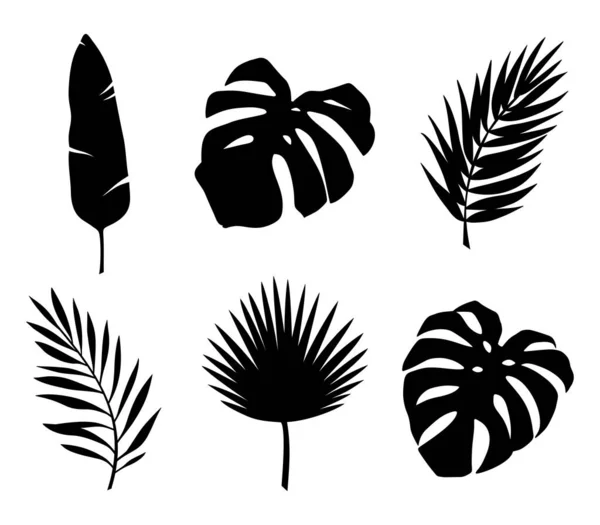 Set Black Silhouettes Tropical Leaves Monstera Palm Leaf Banana Leaf — Stock Vector