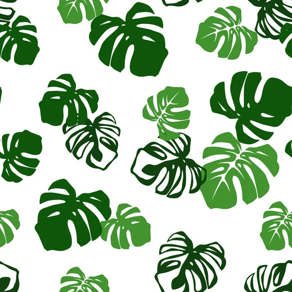 Padrão Sem Emenda Tropical Vetorial Com Folhas Monstera Verdes Branco — Vetor de Stock