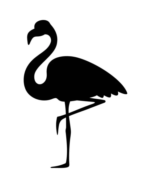 Silueta Negra Vectorial Pájaro Flamenco Tropical Aislado Sobre Fondo Blanco — Vector de stock