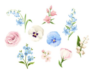 Pembe, mavi ve beyaz nonoş çiçekleri, lisianthus çiçekleri, çan çiçekleri, vadideki zambaklar ve beyaz arka planda izole edilmiş 
