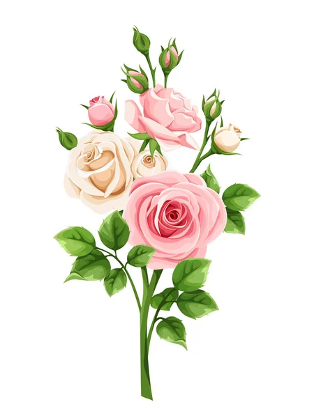 Vector Pink White Roses Isolated White Background — Stock Vector