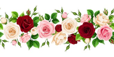 Beyaz arka planda kırmızı, pembe ve beyaz güller ve yeşil yapraklarla vektörsüz yatay sınır.