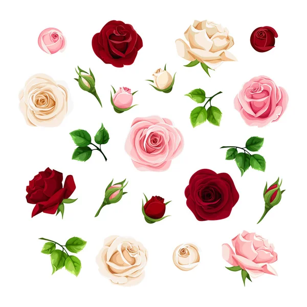 Burgundy Pink White Rose Flowers Buds Green Leaves Set Floral — Stock Vector