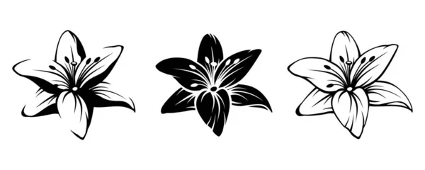 Vector Set Van Zwarte Silhouetten Van Lelie Bloemen Geïsoleerd Een — Stockvector