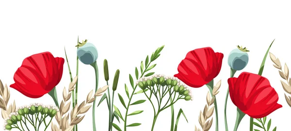 白い背景に赤いケシの花や野生の草とベクトル水平シームレスな境界線 — ストックベクタ
