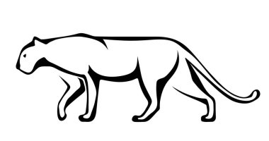 Beyaz arka planda izole edilmiş bir panterin siyah beyaz çizgi çizgisi çizimi.