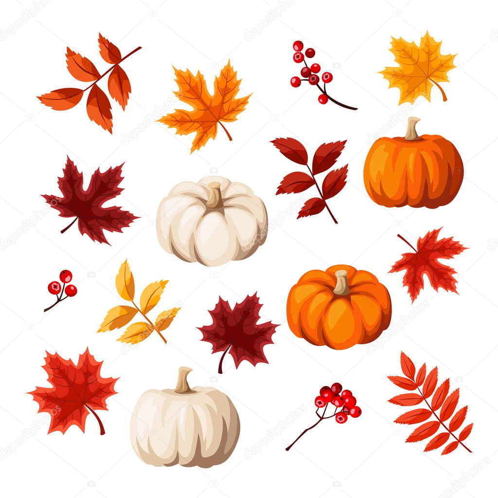 Vector set of autumn design elements. Autumn leaves and pumpkins isolated on a white background.