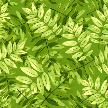 Yeşil rovan yapraklı vektör deseni.