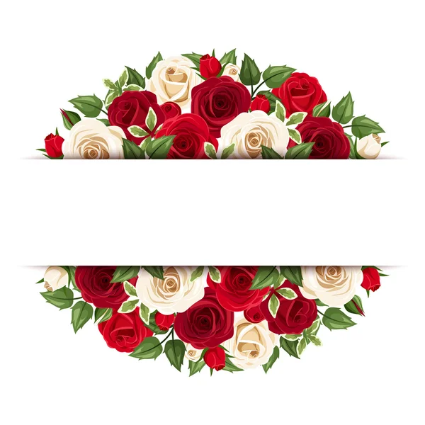 Background with red and white roses. Vector eps-10. — Stock Vector