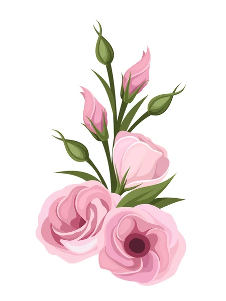 Flores de lisianto rosa. Ilustración vectorial . — Archivo Imágenes Vectoriales