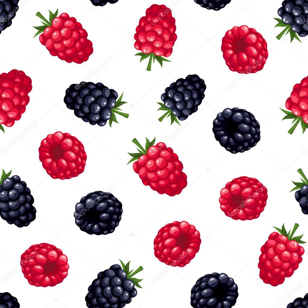 Seamless background with raspberry and blackberry. Vector illustration.