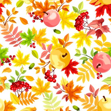 sonbahar vektör Dikişsiz desen çeşitli renkler, elma ve üvez meyveleri beyaz bir arka plan üzerinde bırakır..