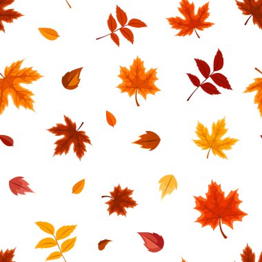 beyaz üzerine çeşitli sonbahar yaprakları ile Seamless modeli. vektör çizim.