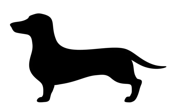 Dackelhund. Vektor schwarze Silhouette. — Stockvektor