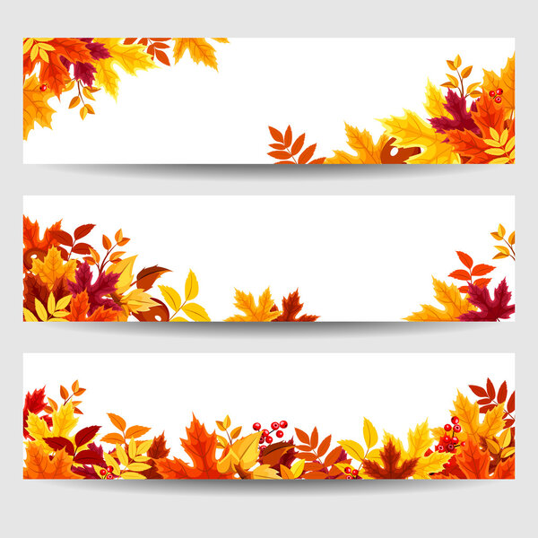 Vector banners with colorful autumn leaves.