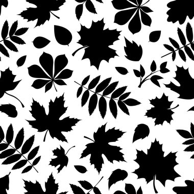 Sonbahar yaprak beyaz üzerine siyah siluetleri ile Seamless modeli. Vektör çizim.