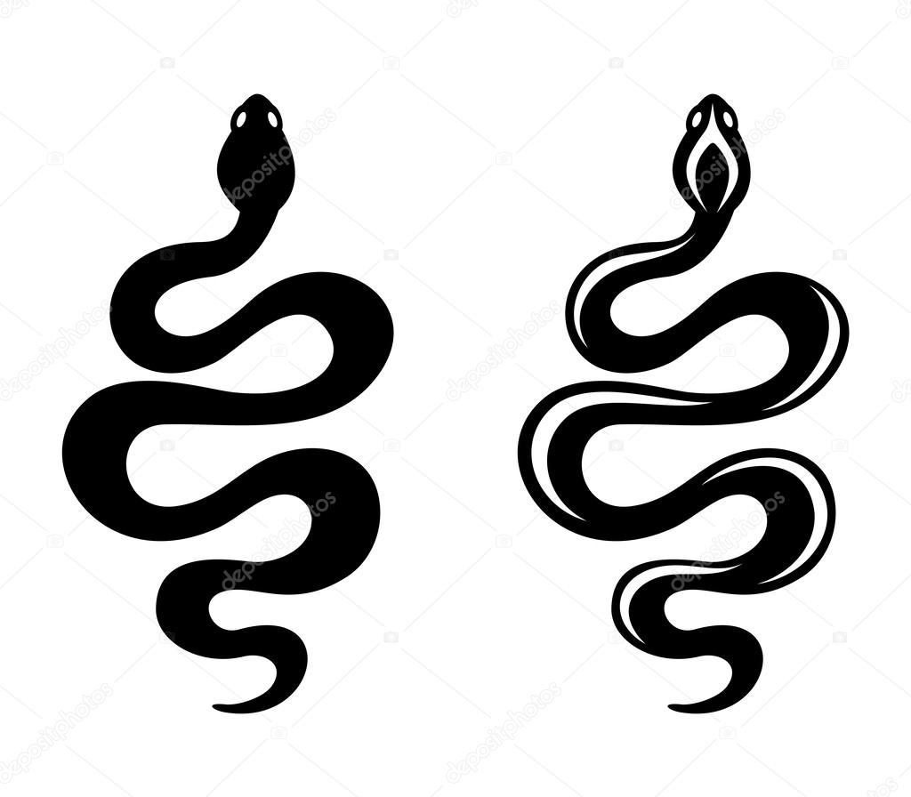 Vector black silhouettes of snakes isolated on a white background.