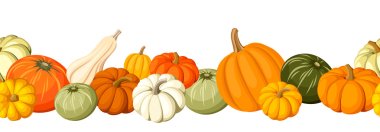 Horizontal seamless background with colorful pumpkins. Vector illustration. clipart