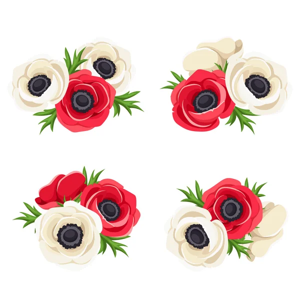 Anemone rode en witte bloemen. Vectorillustratie. — Stockvector