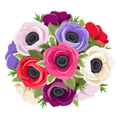 Bouquet of colorful anemone flowers. Vector illustration. clipart