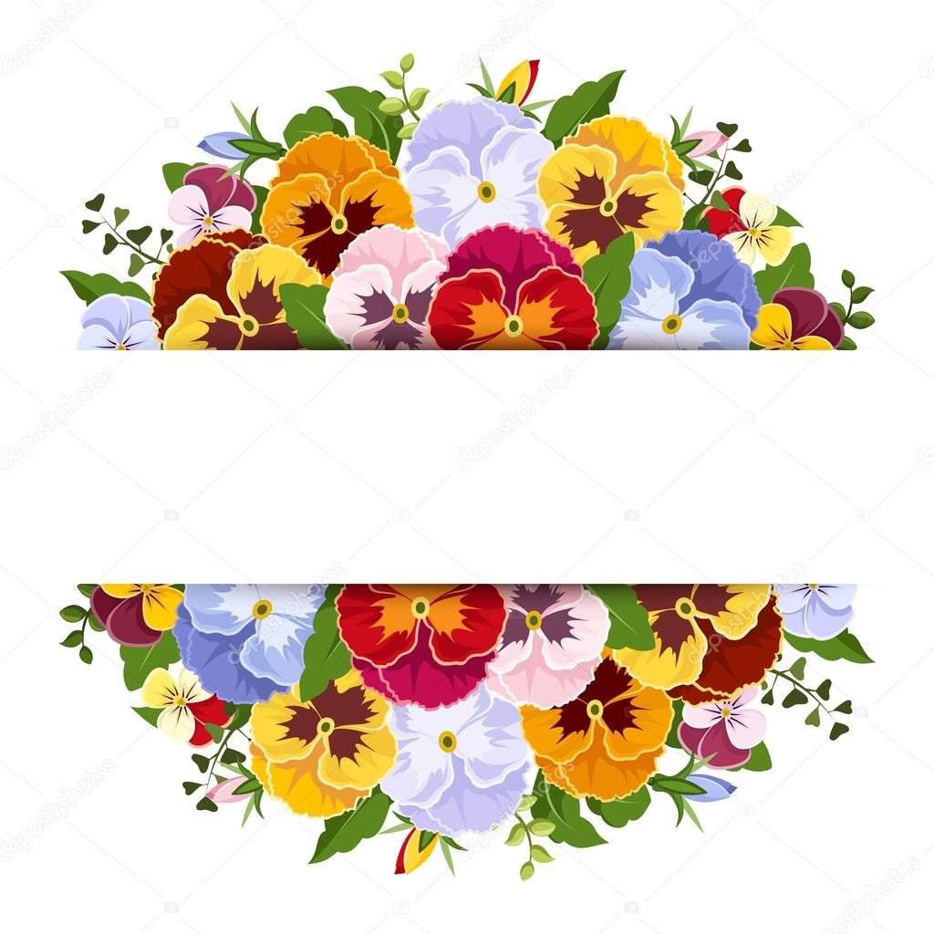Background with colorful pansy flowers. Vector eps-10.