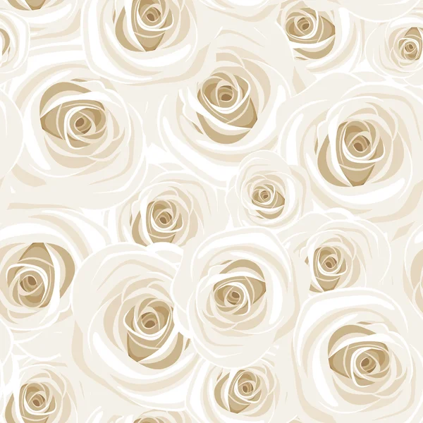 Modèle sans couture avec des roses blanches. Illustration vectorielle . — Image vectorielle