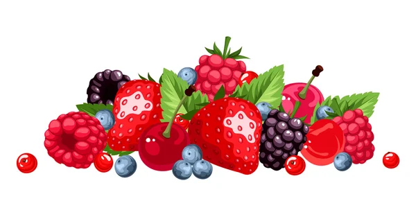 Berries isolated on white. Vector illustration. — Stock Vector