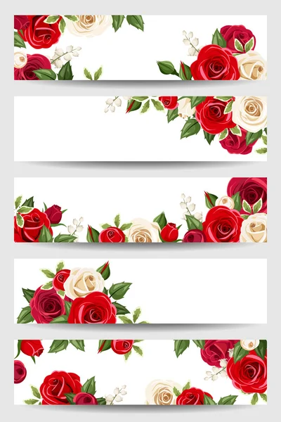 Vector banners with red and white roses. — Stock Vector