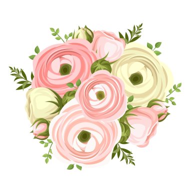 Bouquet of pink and white ranunculus flowers. Vector illustration. clipart