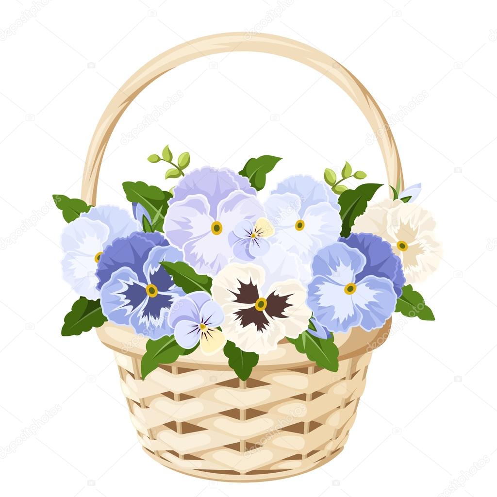 Basket with blue and white pansy flowers. Vector illustration.