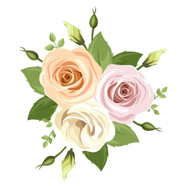 Bouquet von rosa und orangen Rosen. Vektorillustration. — Stockvektor