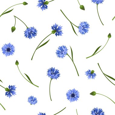 Seamless pattern with blue cornflowers. Vector illustration. clipart
