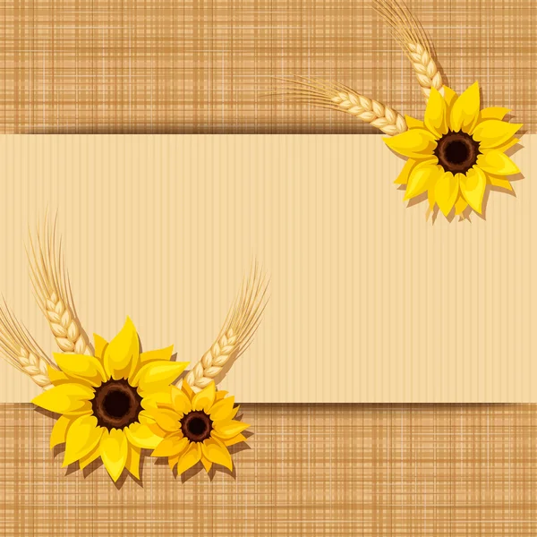 Векторна листівка з соняшниками та вухами пшениці на міцному тлі. Епс-10 . — стоковий вектор