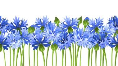 Horizontal seamless background with blue cornflowers. Vector illustration. clipart