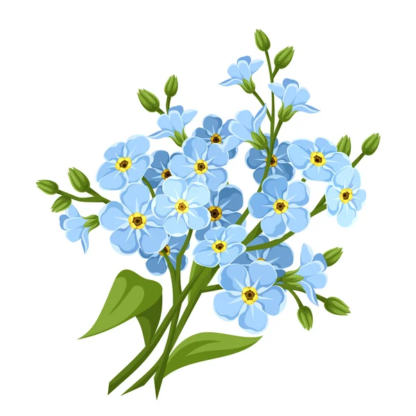 Flores azules de olvidarme-no. Ilustración vectorial . — Vector de stock