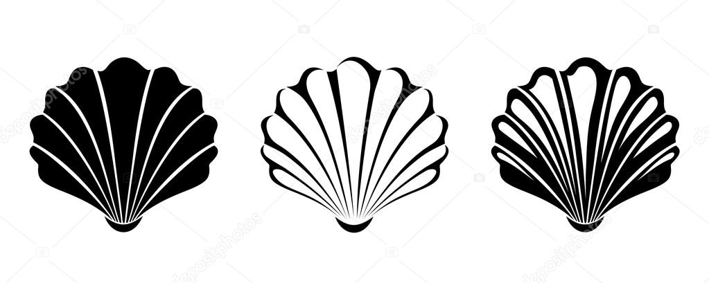 Vector black silhouettes of three sea shells isolated on a white background.