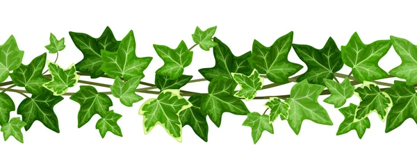 Guirlande horizontale sans couture avec feuilles de lierre. Illustration vectorielle . — Image vectorielle
